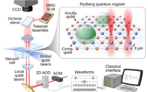 Quantum simulation and computing with Rydberg-interacting qubits published in AVS Quantum Science (invited review)