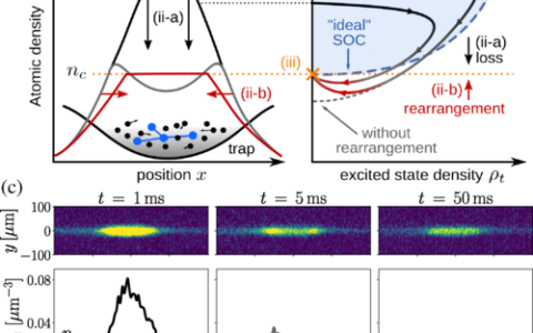 Hydrodynamic Stabilization of Self-Organized Criticality in a Driven Rydberg Gas published in Phys. Rev. Lett.